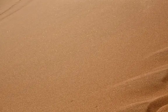 Casino Bingo Millionaire Tugi